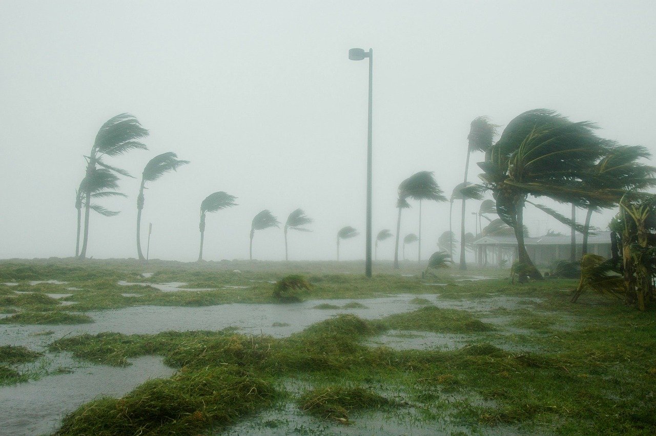 Florida Hurricane Preparedness Guide 2022