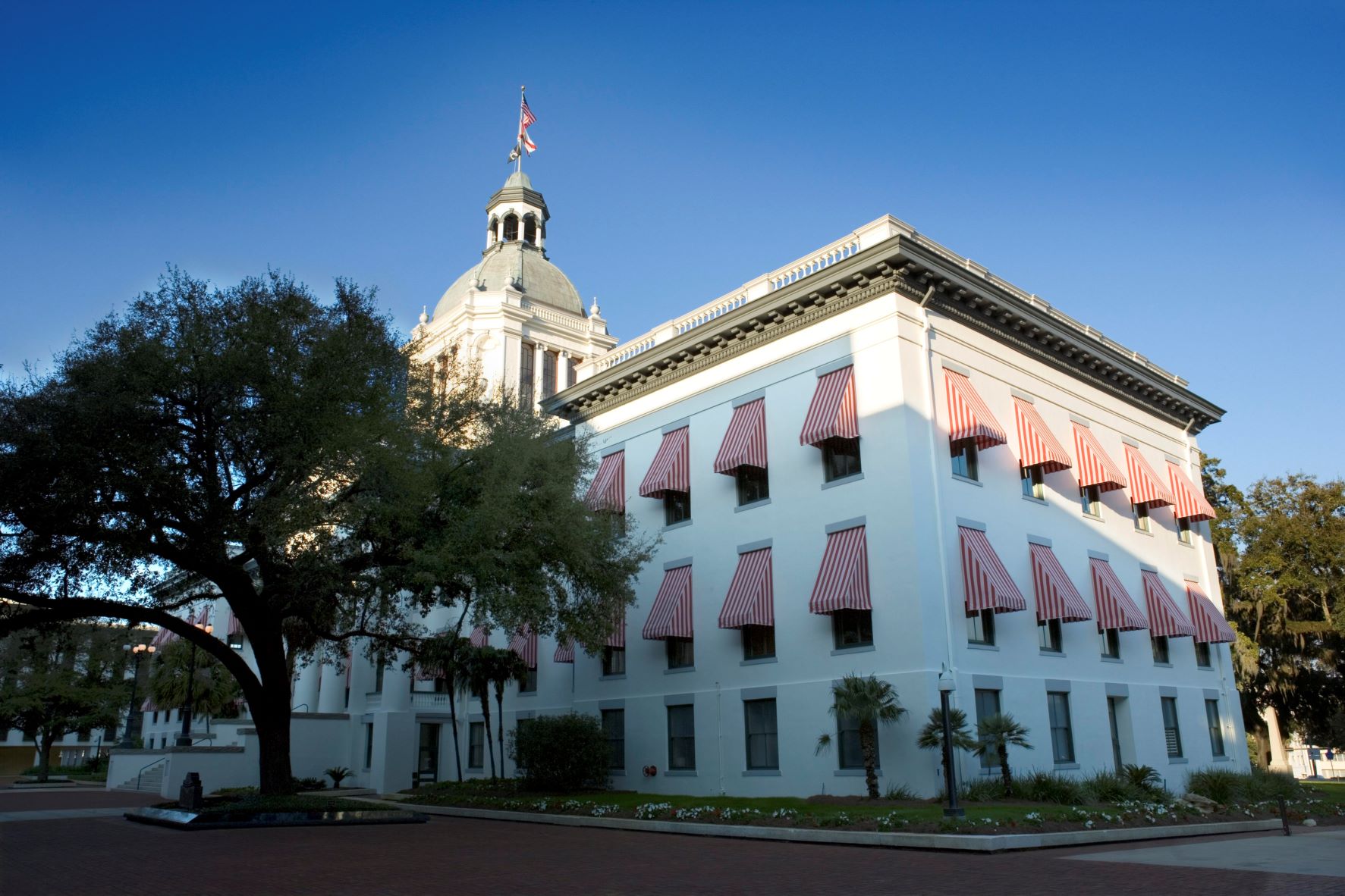 Homeowners Insurance Legislation in Florida. Will new laws reduce premiums